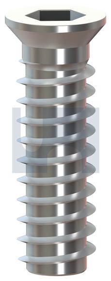 HOBSON TIMER INSERT CSK HEX SOCKET 316 RHT M6